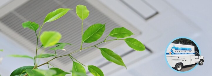 Indoor Air Quality